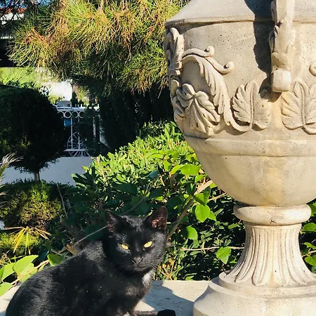 Villa Daria Kamares Tala Luxury Sea View Pafos