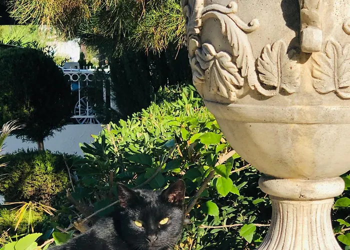 ヴィラ Daria Kamares Tala Luxury Sea View パ フォス