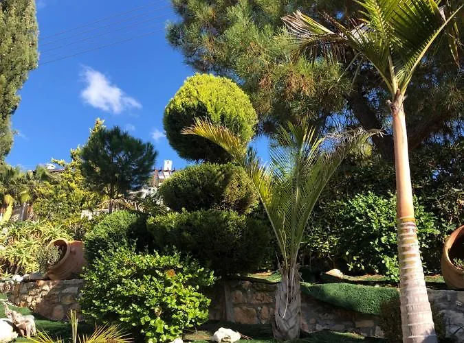 Daria Kamares Tala Luxury Sea View * Paphos